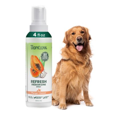 TropiClean Papaya Deodorizing Spray