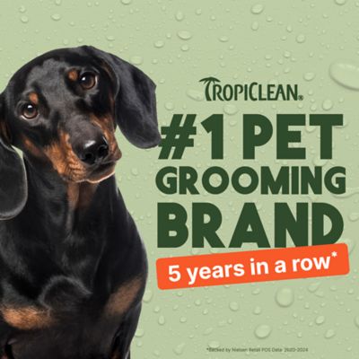 TropiClean Papaya Deodorizing Spray