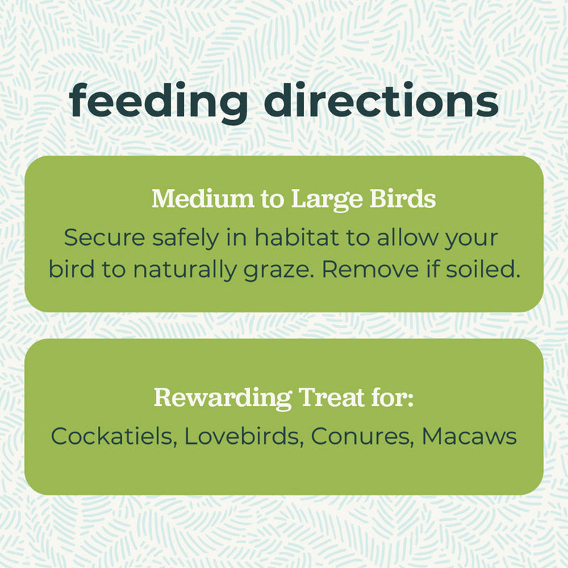 Zupreem Grazing Snack