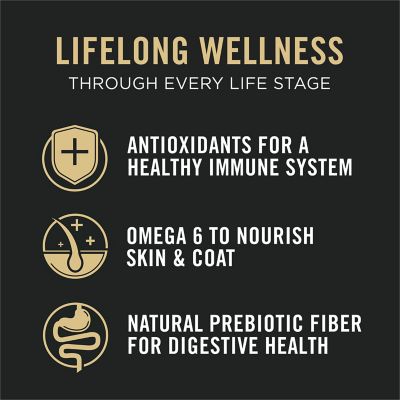 Purina Pro Plan All Life Stages High Protein Cat Food Chicken and Rice Dry Kibble