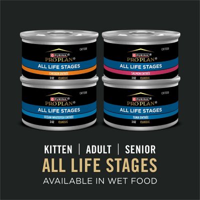 Purina Pro Plan All Life Stages High Protein Cat Food Chicken and Rice Dry Kibble