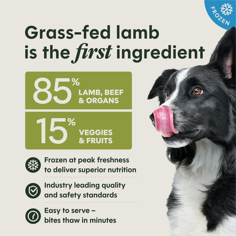 Instinct FreshRaw Bites Grass-Fed Lamb Recipe for Adult Dogs, 5.4lbs