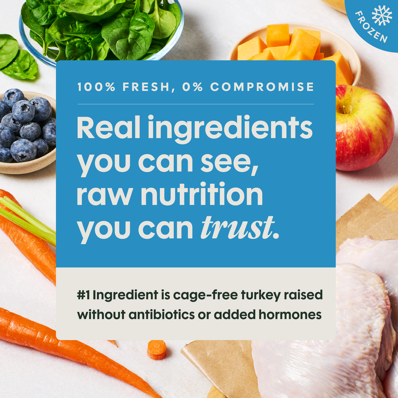 Instinct FreshRaw Meals Cage-Free Turkey Recipe Dog Food, 8oz