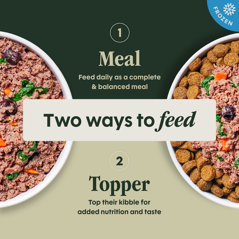 Instinct FreshRaw Meals Cage-Free Turkey Recipe Dog Food, 8oz