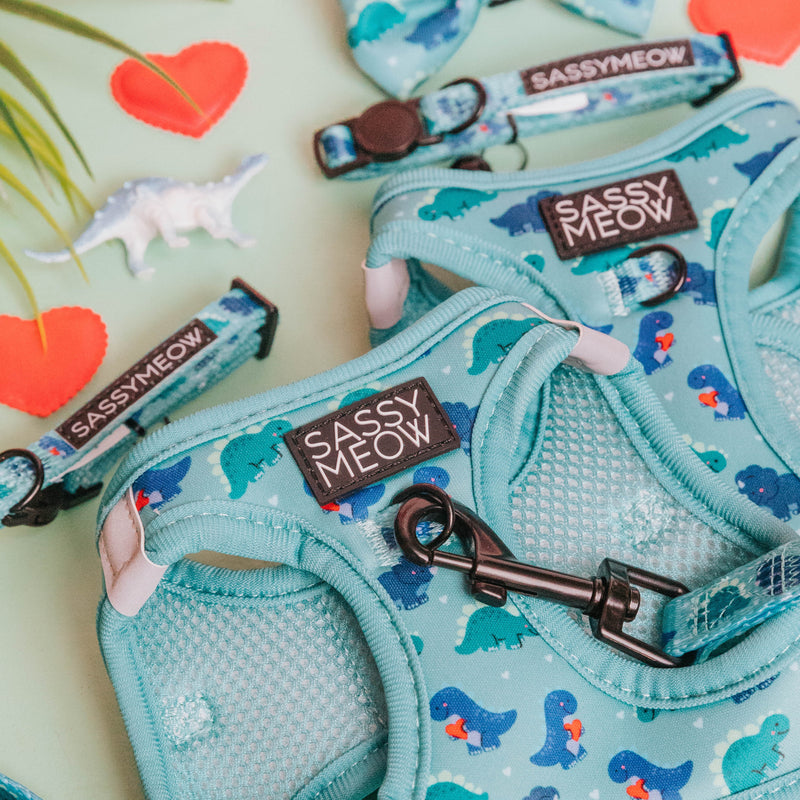 Sassy Meow Breakaway Cat Collar, Dino Darling