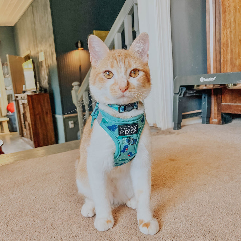 Sassy Meow Breakaway Cat Collar, Dino Darling