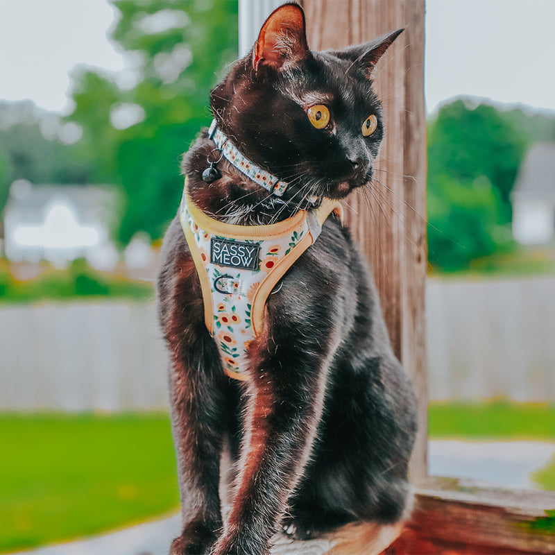 Sassy Meow Breakaway Cat Collar, Sunflower Dreams