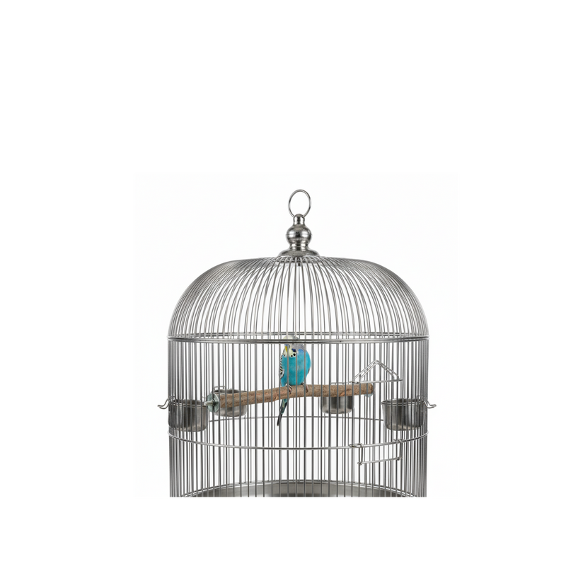 Happy Beaks 8” Natural Wood Perch, by A&E Cage Co