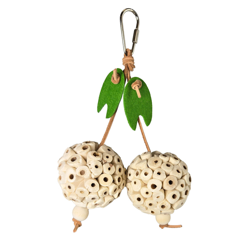 Happy Beaks Picky Pair Hanging Bird Toy, by A&E Cage Co