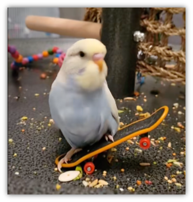 Happy Beaks Beak Board Foot Toy, by A&E Cage Co