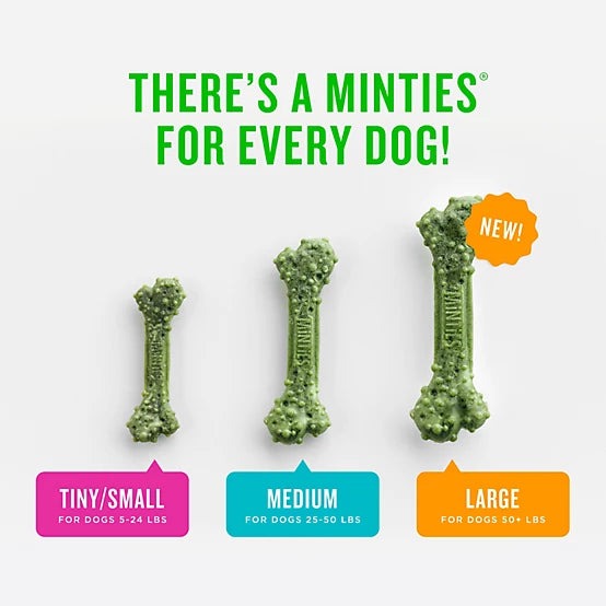 Minties Dental Bone for Dogs Medium 28 oz.