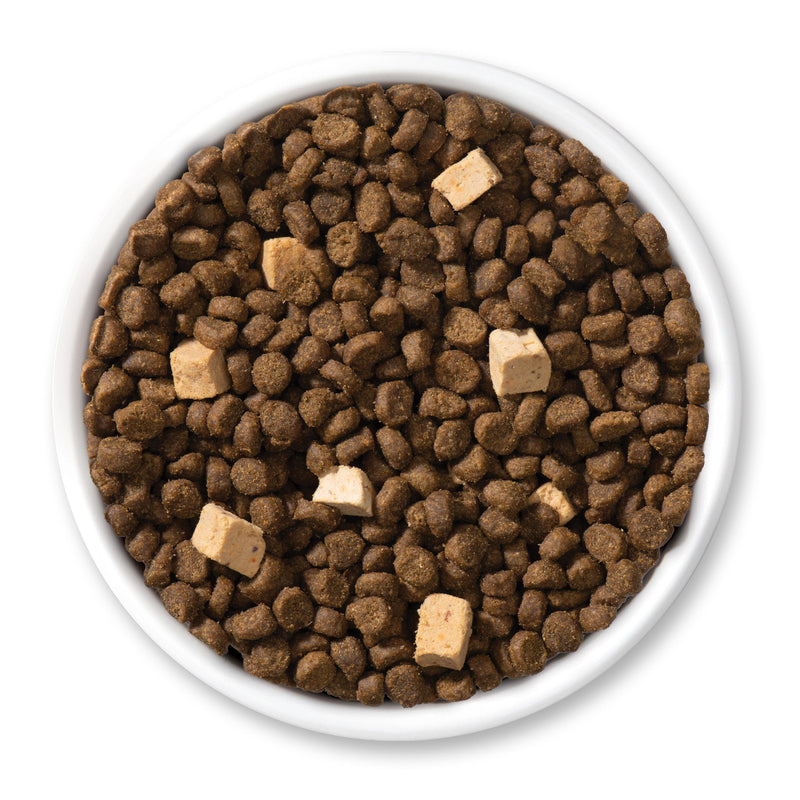 Catit Cat Dry food Recipes, Active Adult 4lb