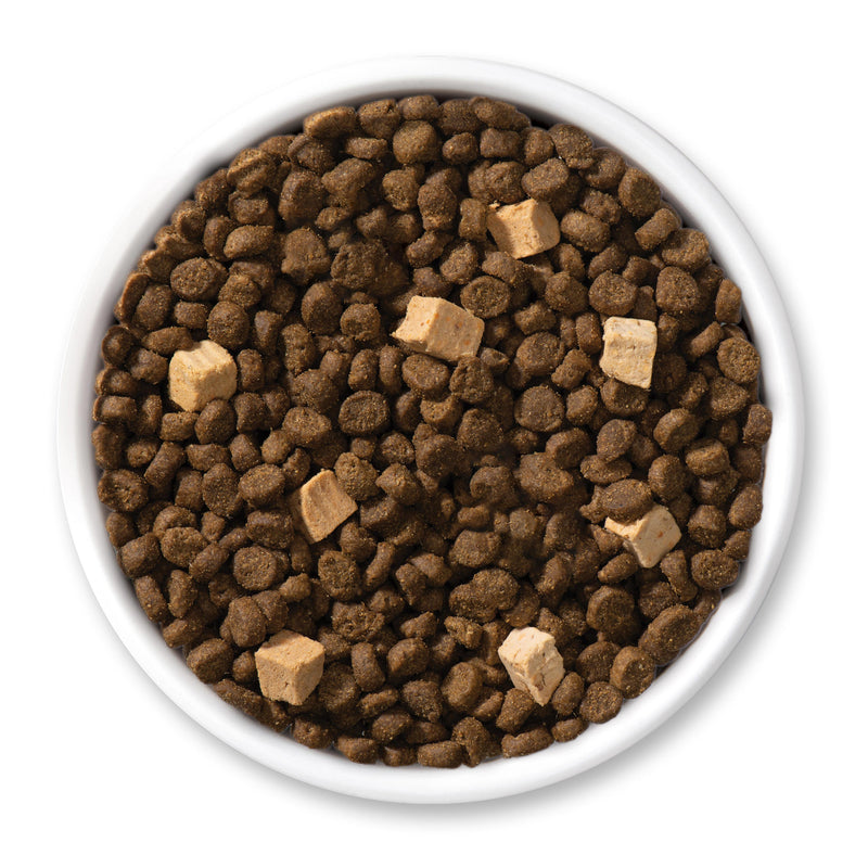 Catit Cat Dry Food Recipes, Kitten, 4lb