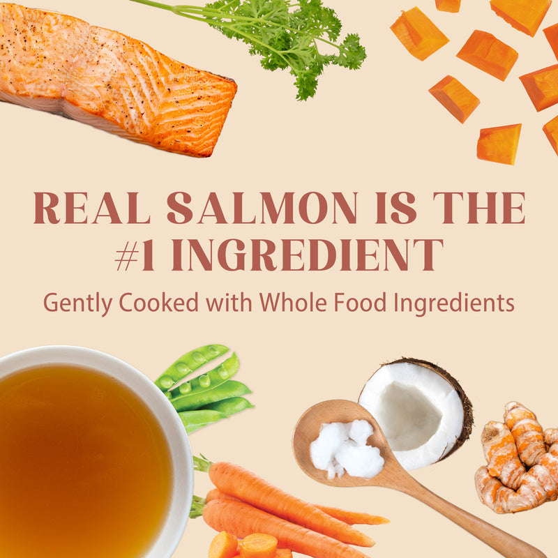 4Health Salmon Recipe Wet Food for Dogs - Gently Cooked