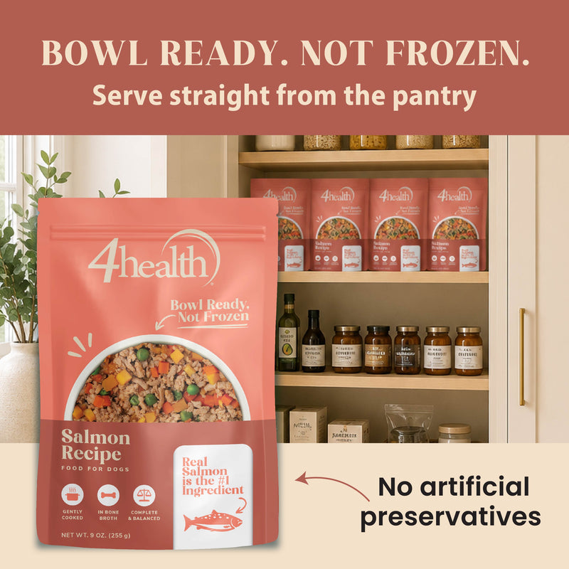 4Health Salmon Recipe Wet Food for Dogs - Gently Cooked