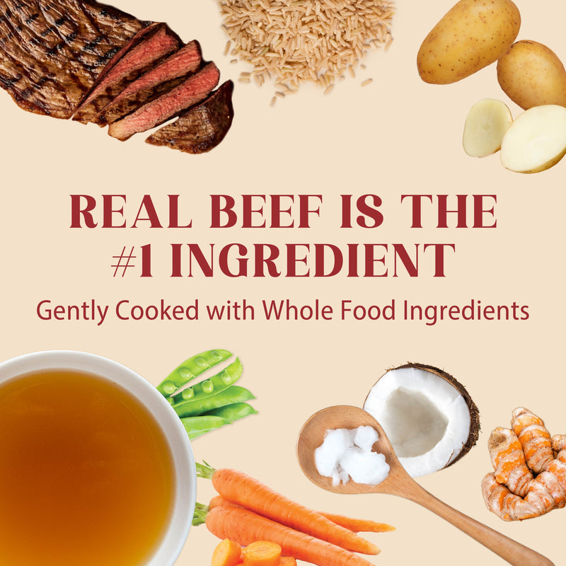 4Health Beef & Rice Recipe Wet Food for Dogs - Gently Cooked