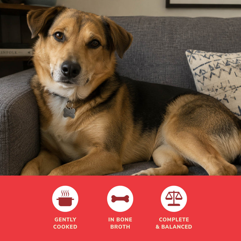 4Health Beef & Rice Recipe Wet Food for Dogs - Gently Cooked