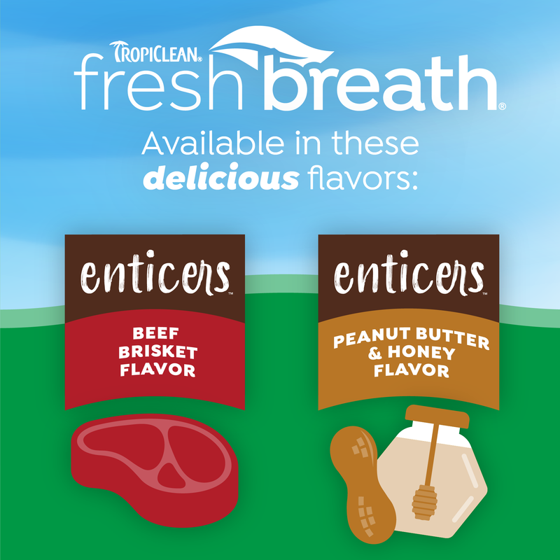 TropiClean Fresh Breath Enticers Peanut Butter & Honey Gel for Dogs, 2oz
