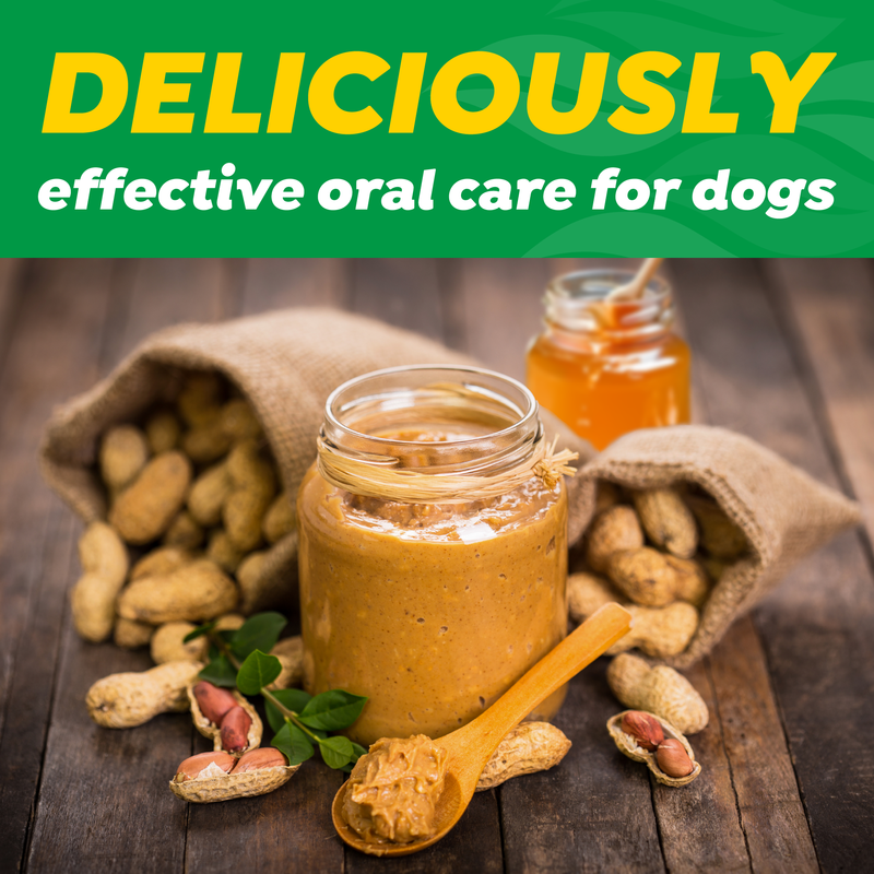 TropiClean Fresh Breath Enticers Peanut Butter & Honey Gel for Dogs, 2oz