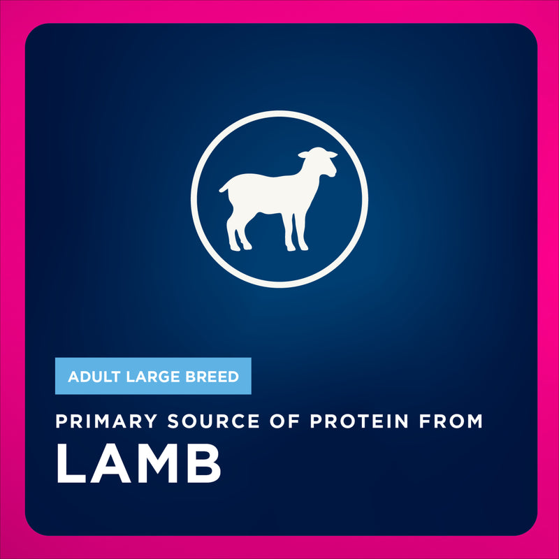 Eukanuba Adult LP Lamb 1st Ingredient Large Breed Dry, 33 lb