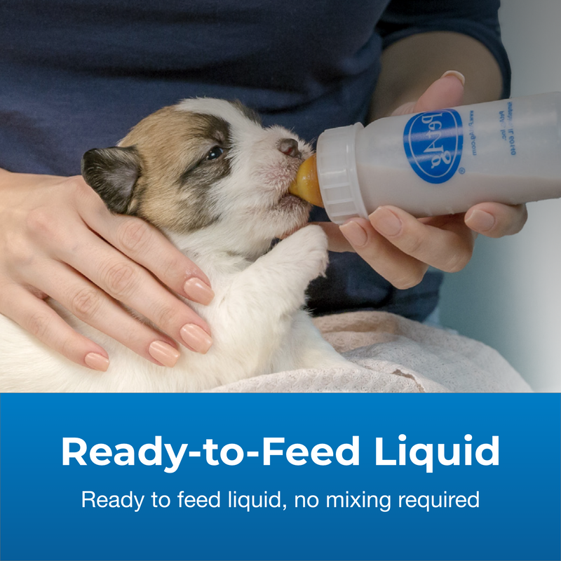 PetAg Goat's Milk Esbilac Liquid 16 oz (12/CS)