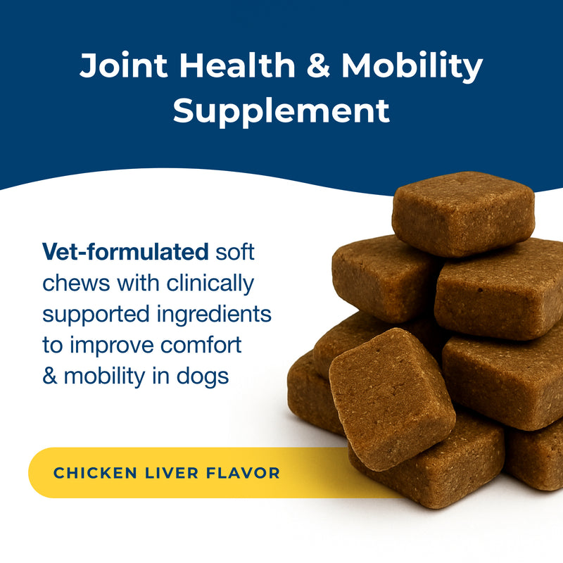 PetAg Dyne Soft Chews, Joint & Mobility 45ct