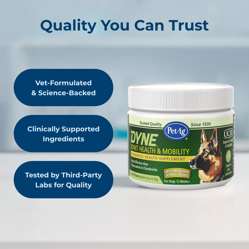 PetAg Dyne Soft Chews, Joint & Mobility 45ct