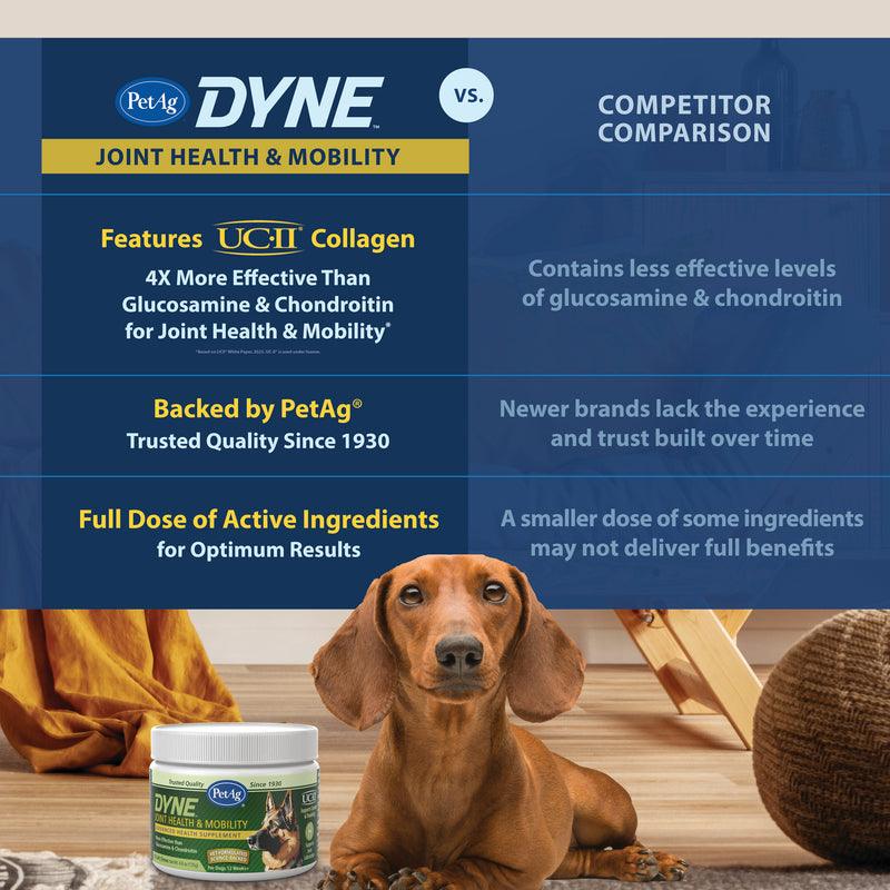 PetAg Dyne Soft Chews, Joint & Mobility 45ct