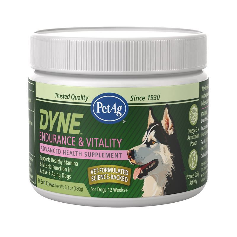 PetAg Dyne Soft Chews, Endurance & Vitality 60ct