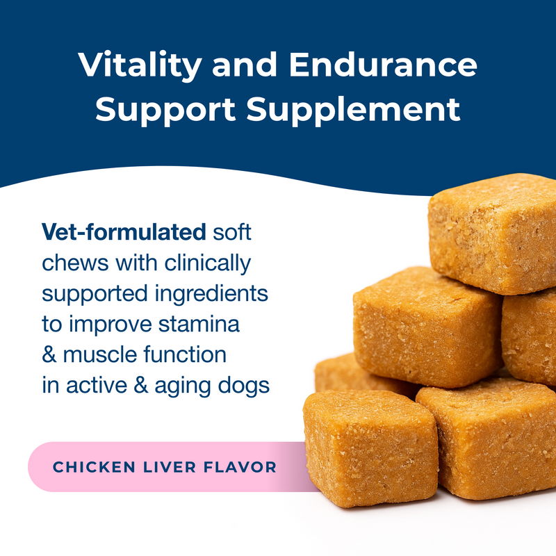 PetAg Dyne Soft Chews, Endurance & Vitality 60ct