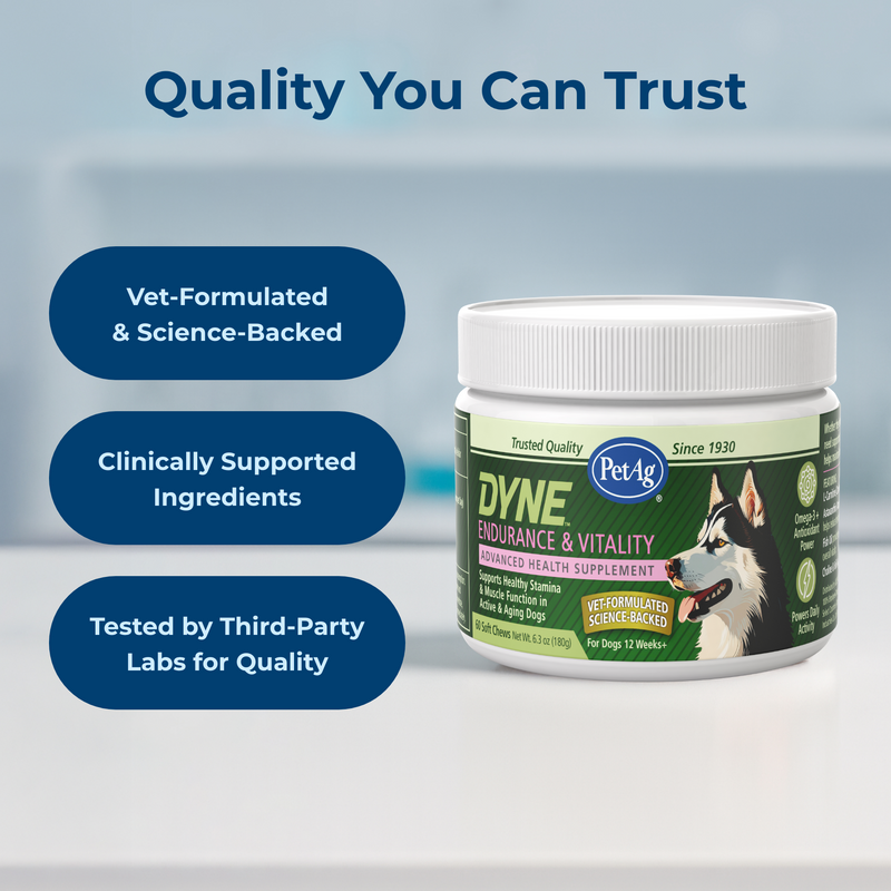 PetAg Dyne Soft Chews, Endurance & Vitality 60ct