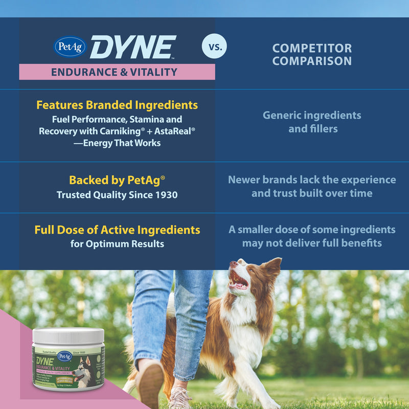 PetAg Dyne Soft Chews, Endurance & Vitality 60ct