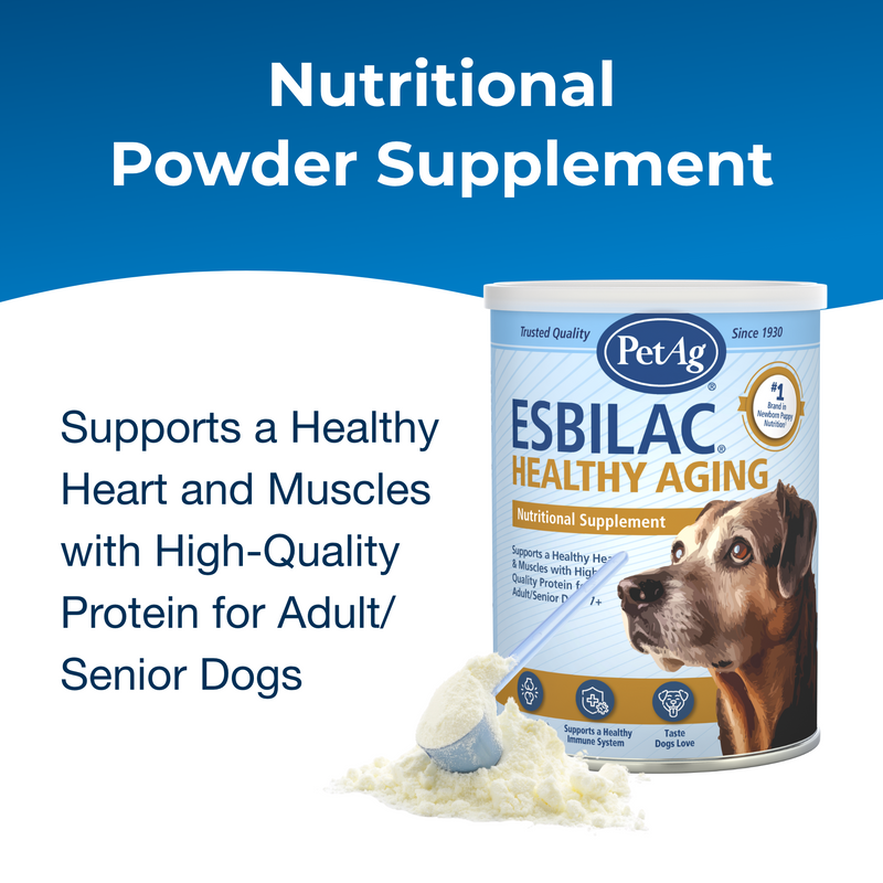 PetAg Healthy Aging for Dogs Powder, 14oz.
