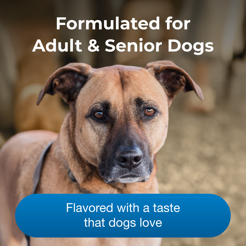 PetAg Healthy Aging for Dogs Powder, 14oz.
