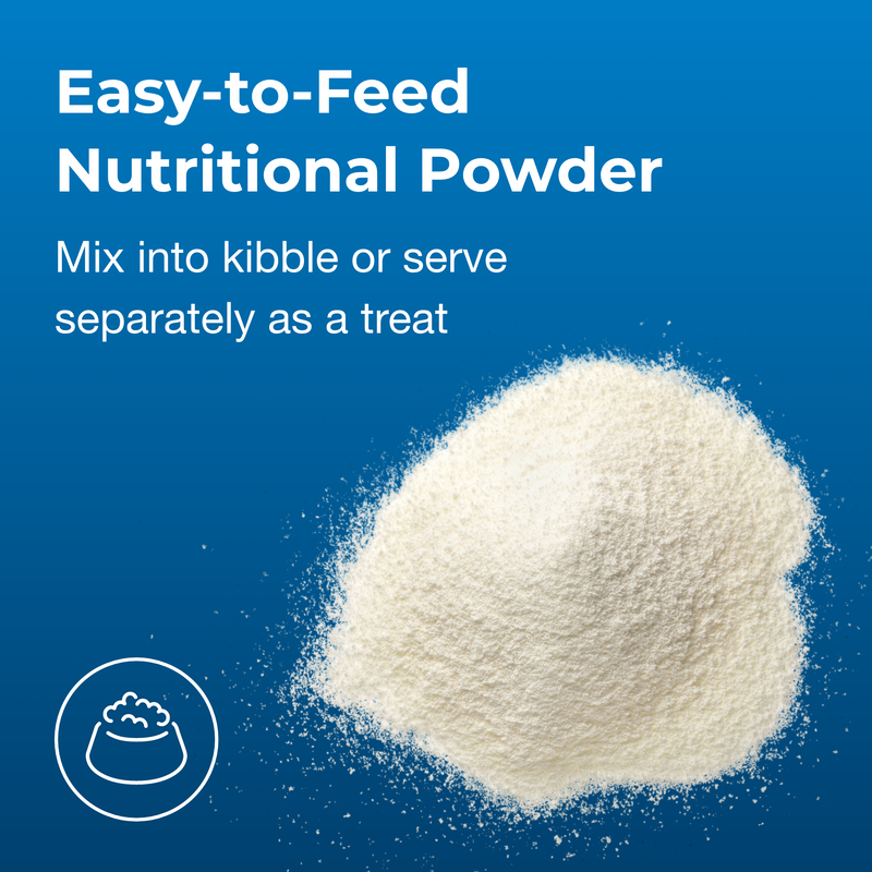 PetAg Healthy Aging for Dogs Powder, 14oz.