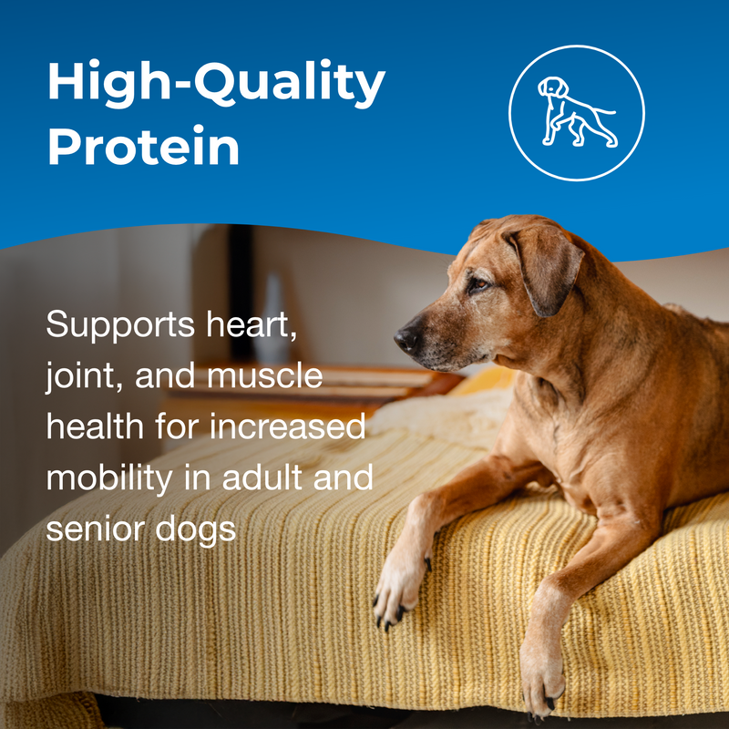 PetAg Healthy Aging for Dogs Powder, 14oz.