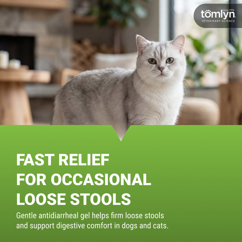 Tomlyn Loose Stool Remedy Gel for Dogs and Cats Beef Flavor, Helps Relieve Occasional Diarrhea in Cats and Dogs, Situational Diarrhea Relief with Kaolin and Pectin, Contains Beneficial Probiotic Bacteria , 15cc.