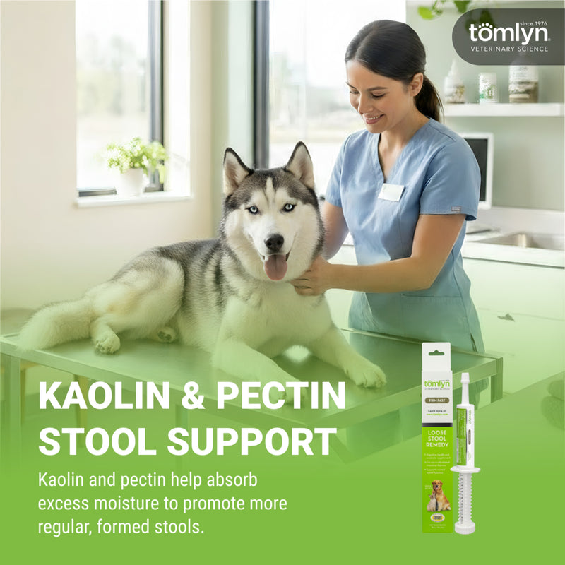 Tomlyn Loose Stool Remedy Gel for Dogs and Cats Beef Flavor, Helps Relieve Occasional Diarrhea in Cats and Dogs, Situational Diarrhea Relief with Kaolin and Pectin, Contains Beneficial Probiotic Bacteria , 15cc.