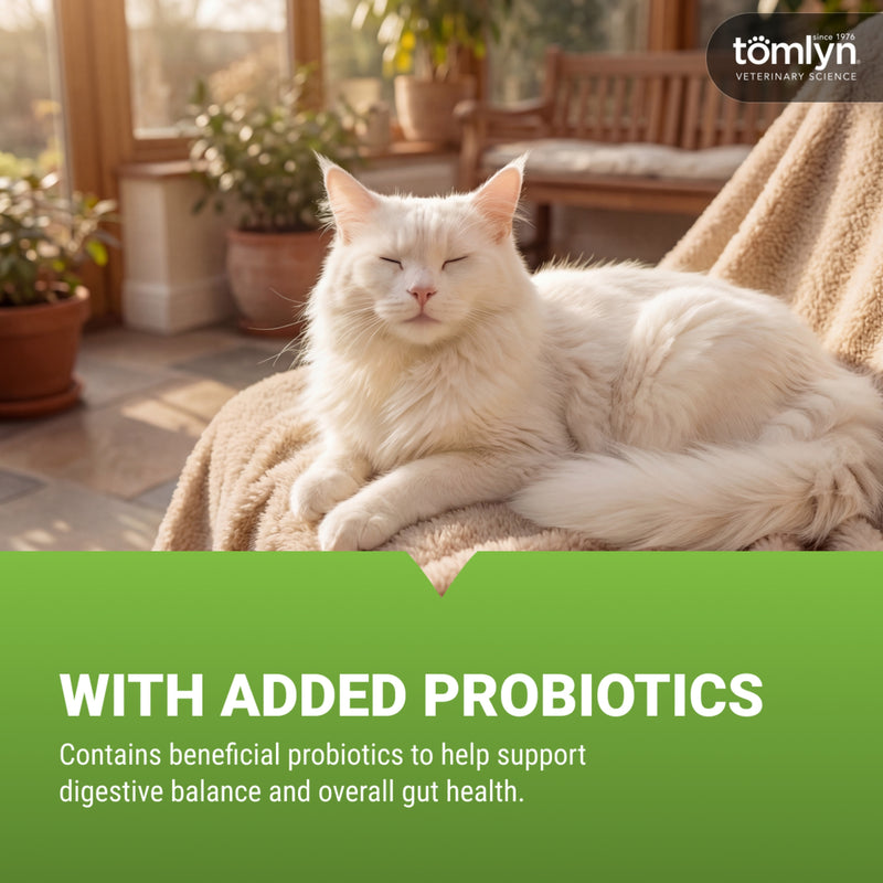 Tomlyn Loose Stool Remedy Gel for Dogs and Cats Beef Flavor, Helps Relieve Occasional Diarrhea in Cats and Dogs, Situational Diarrhea Relief with Kaolin and Pectin, Contains Beneficial Probiotic Bacteria , 15cc.