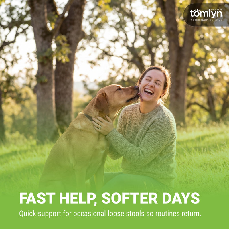 Tomlyn Loose Stool Remedy Gel for Dogs and Cats Beef Flavor, Helps Relieve Occasional Diarrhea in Cats and Dogs, Situational Diarrhea Relief with Kaolin and Pectin, Contains Beneficial Probiotic Bacteria , 15cc.