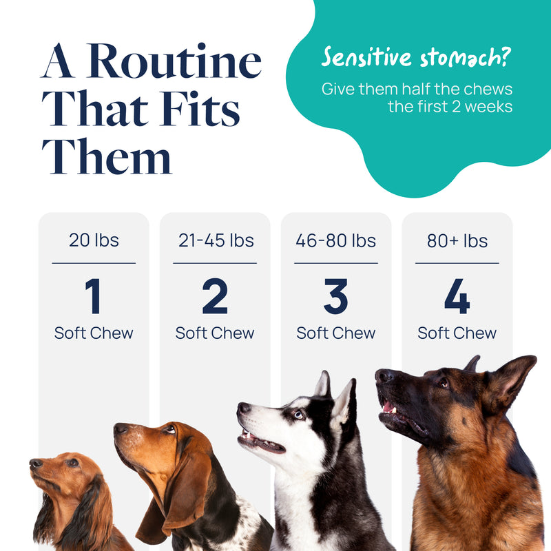 Veterinary Formula Anal Gland Support Chews for Dogs, 60 Count