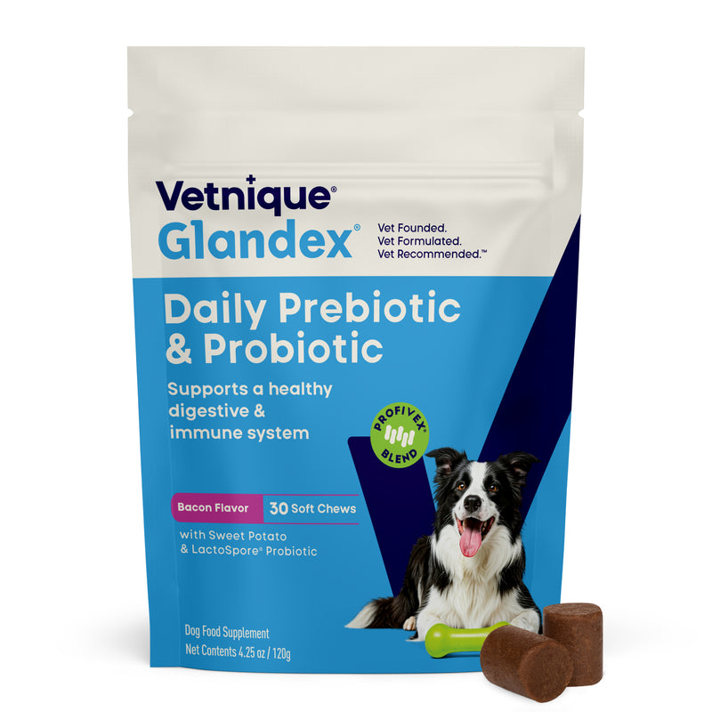 Glandex Daily Prebiotic & Probiotic Soft Chews, 30 ct