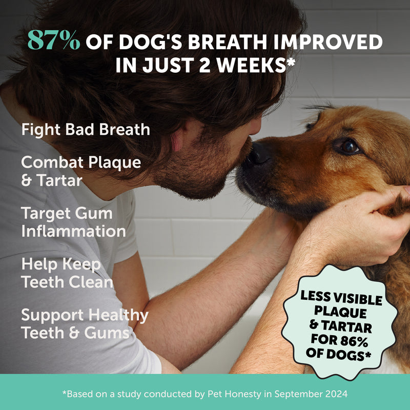 Pet Honesty Fresh Breath Freshener Mint Flavored Dental Powder for Dogs