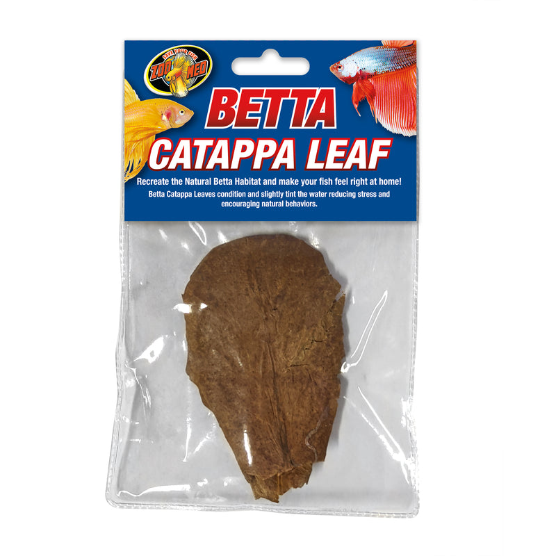ZM Betta Catappa Leaf