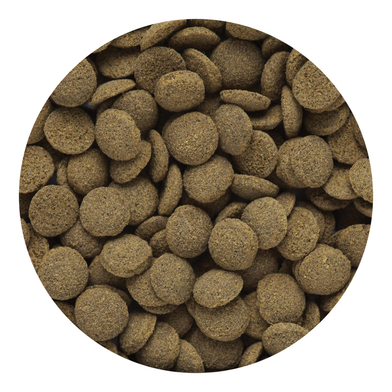 Hikari Sinking Wafers 1.76oz Dry Fish Food
