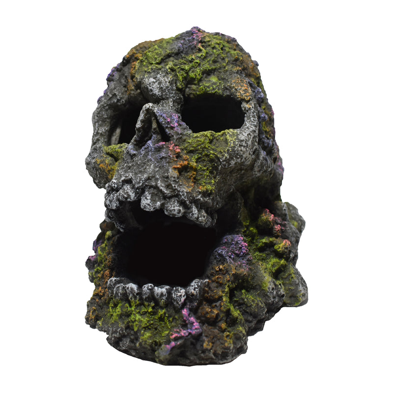 Hikari Mossy Skull Resin Fish Ornament