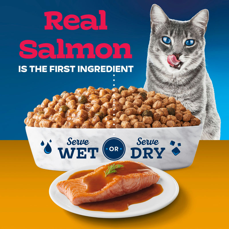 Blue Buffalo Tastefuls Irresistible Gravy Experience Adult Indoor Cat Dry Food, Salmon & Brown Rice Recipe, 7-lb. Bag