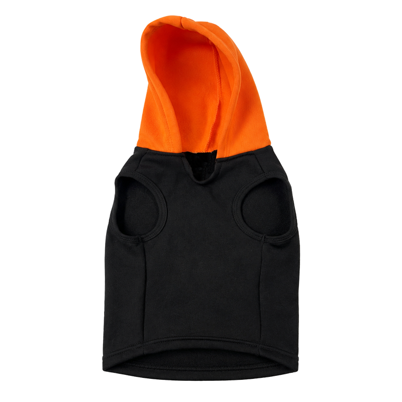 JUST PUT THE TREATS IN THE BAG GRAPHIC HOODIE