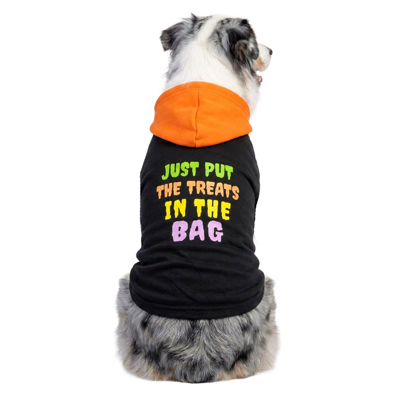JUST PUT THE TREATS IN THE BAG GRAPHIC HOODIE