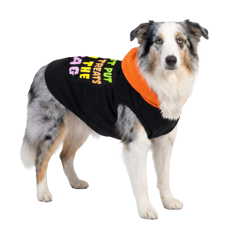 JUST PUT THE TREATS IN THE BAG GRAPHIC HOODIE